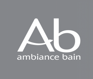 Logo_AB_Blanc_fond_Pantone_C23M17Y13N46-1-300x254